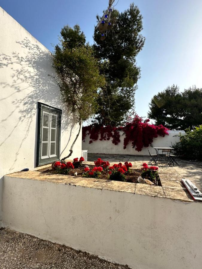 Pensjonat Two Olive Trees Spétses Zewnętrze zdjęcie