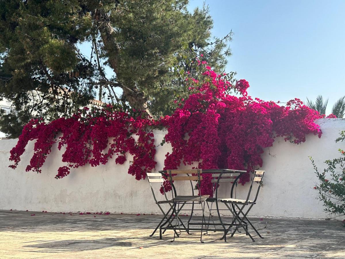 Pensjonat Two Olive Trees Spétses Zewnętrze zdjęcie